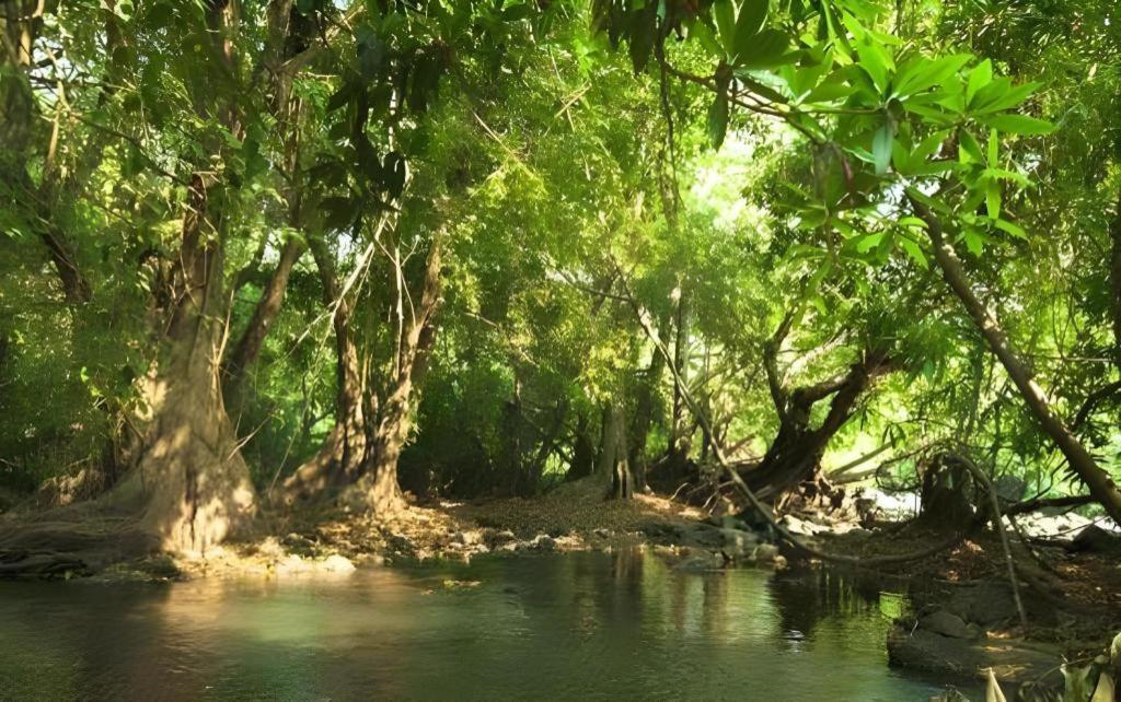 Natural Park Resort De Wang Thong Phitsanulok Eksteriør billede