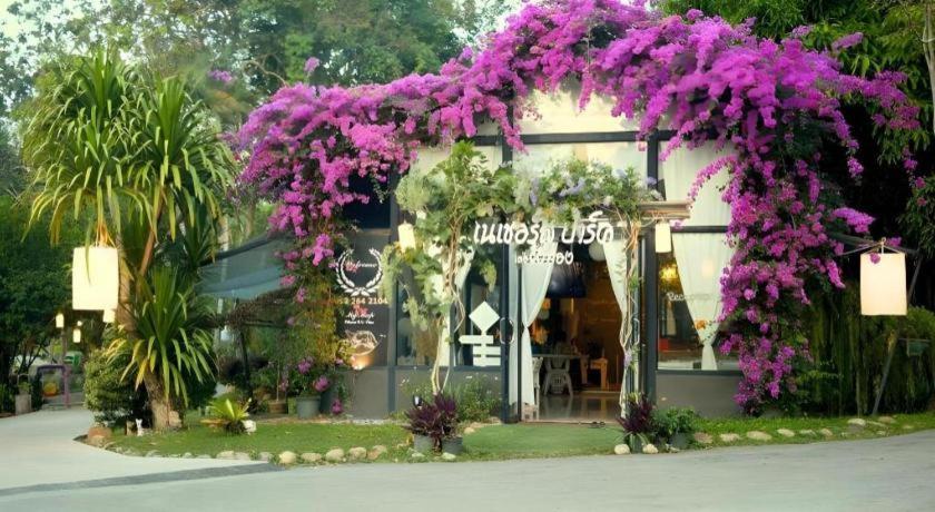 Natural Park Resort De Wang Thong Phitsanulok Eksteriør billede
